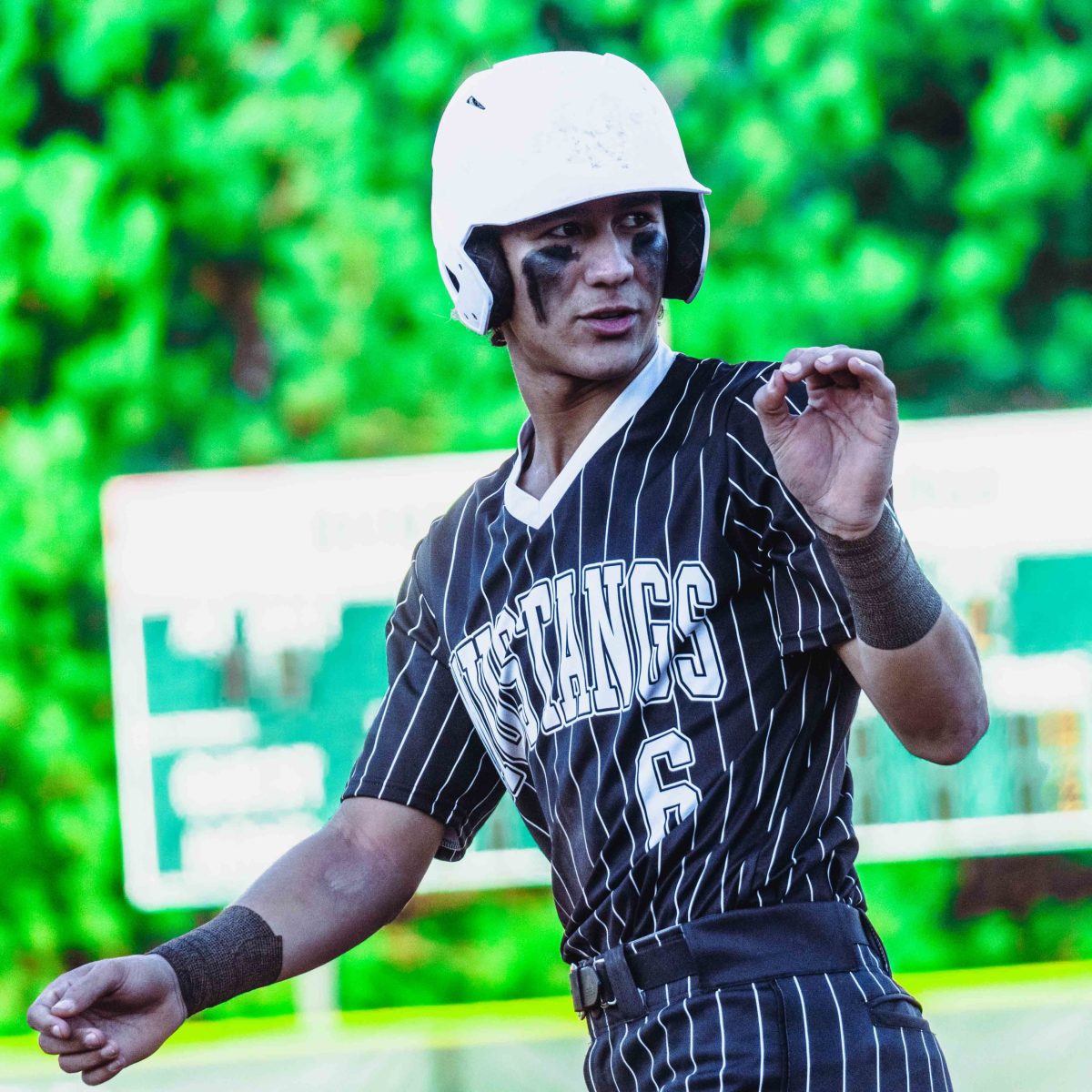 Willie_Prince_Kennesaw_Mountain_baseball.54